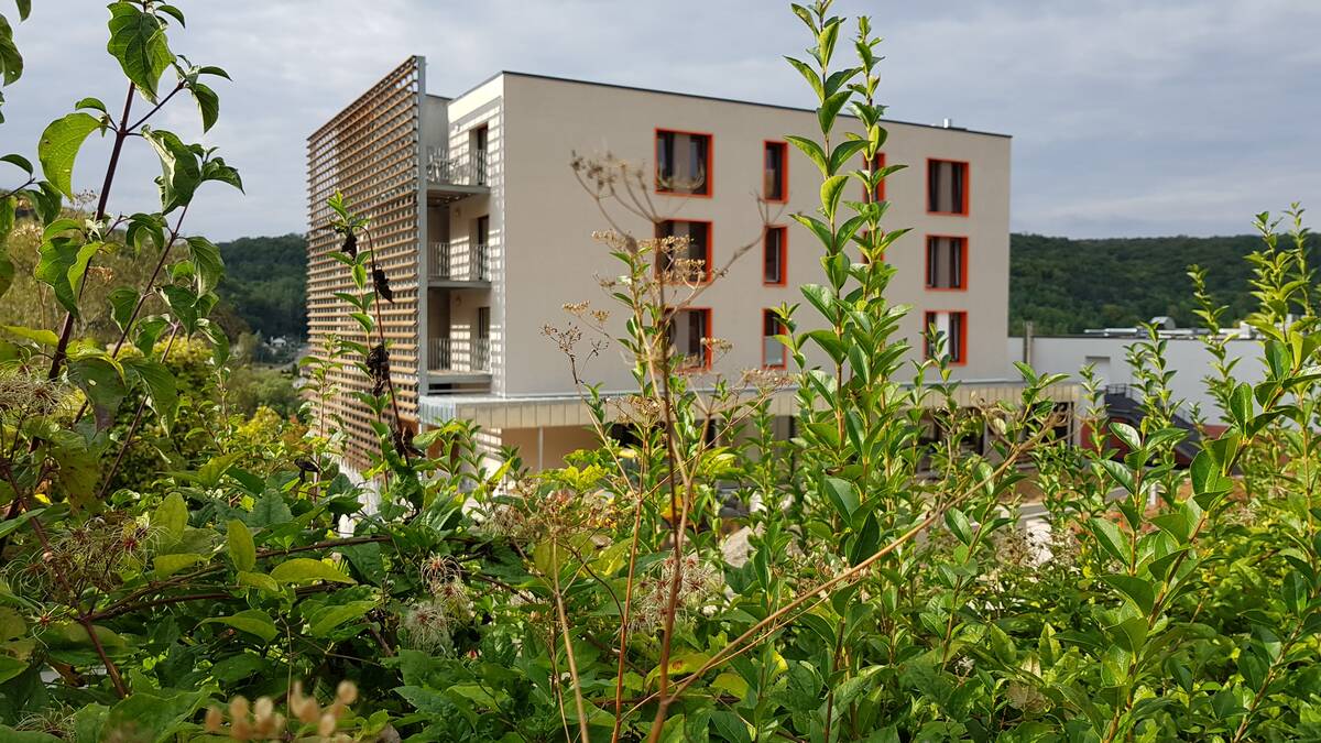 Photo Après