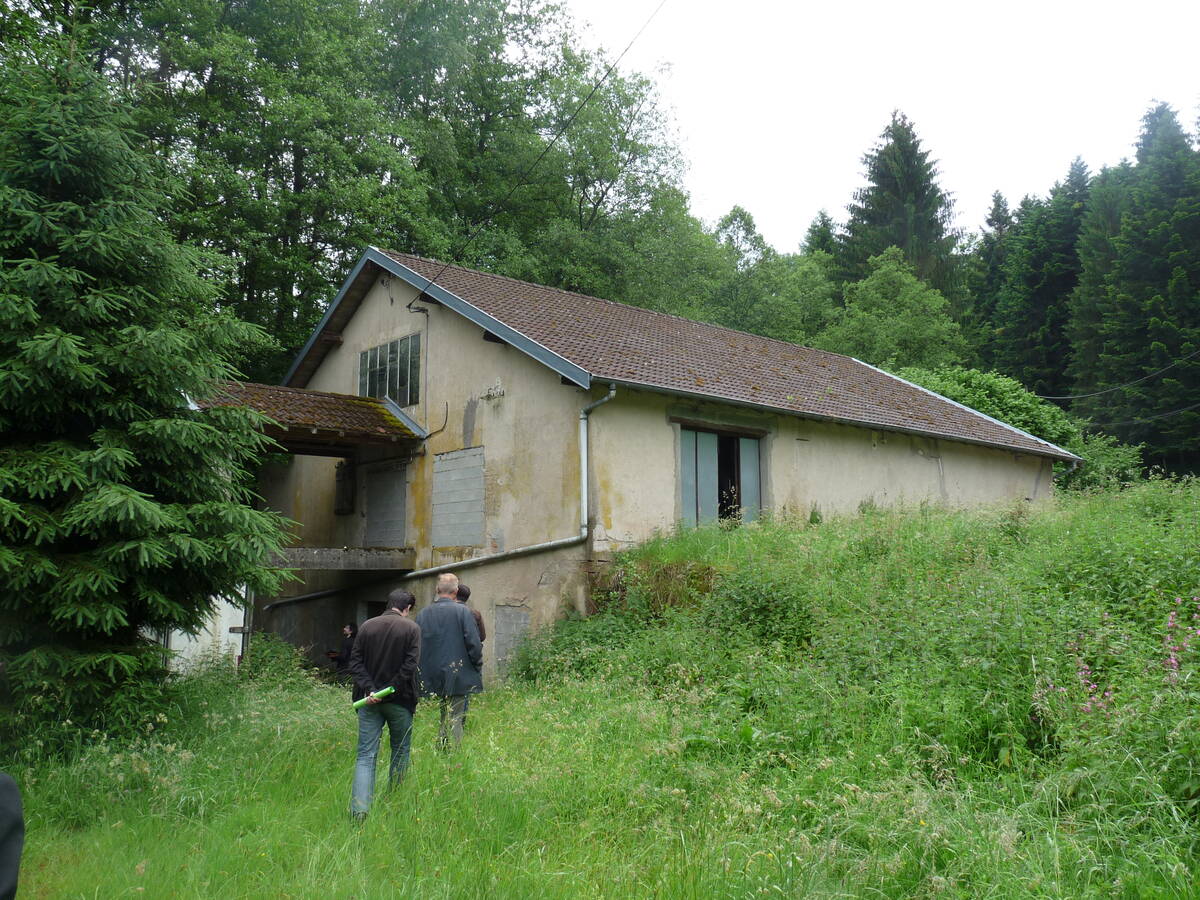 Left Image