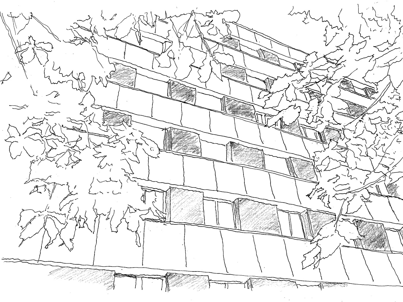 Croquis Projet
