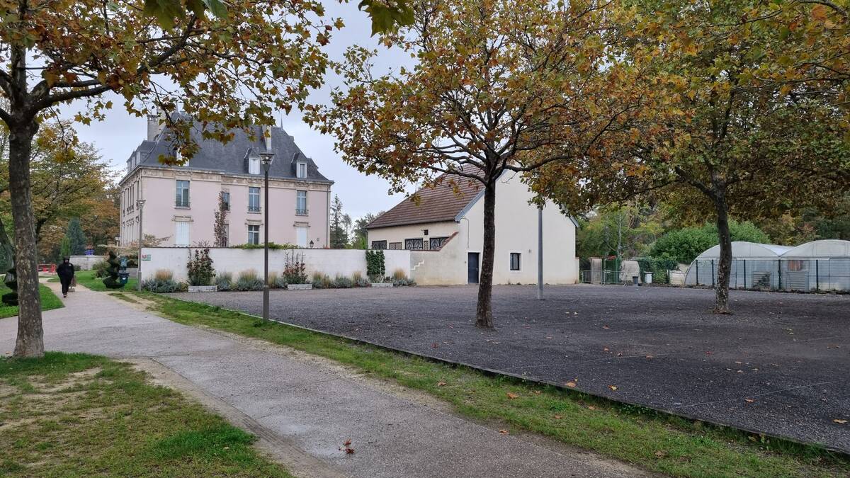 Left Image