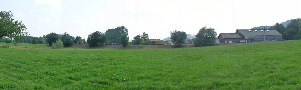 Left Image